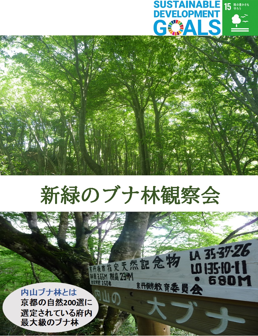 令和4年度新緑のブナ林観察会