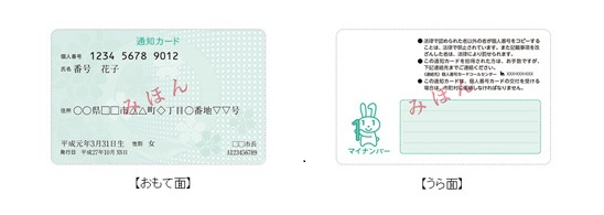 通知カードの見本