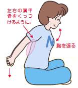 胸張りのイラスト