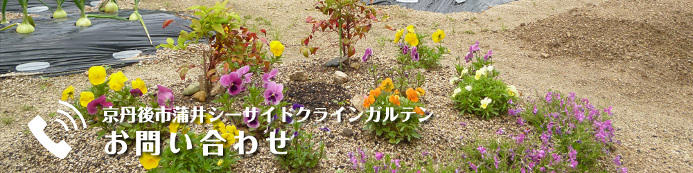 京丹後市蒲井シーサイドクラインガルテン