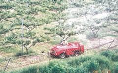 写真:大井団地その1