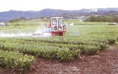 写真:永留6団地その1