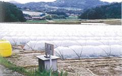 写真:谷団地その1