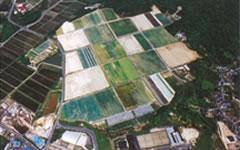 写真:三坂団地その2