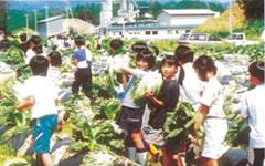 写真:中ノ谷団地その1