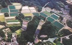 写真:口大野団地その2