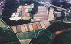 写真:鳥取2・3団地その2