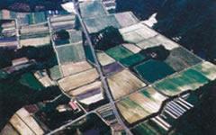 写真:井辺団地その2