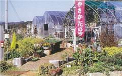 写真:上野団地その1