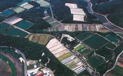 写真:和田野団地その2