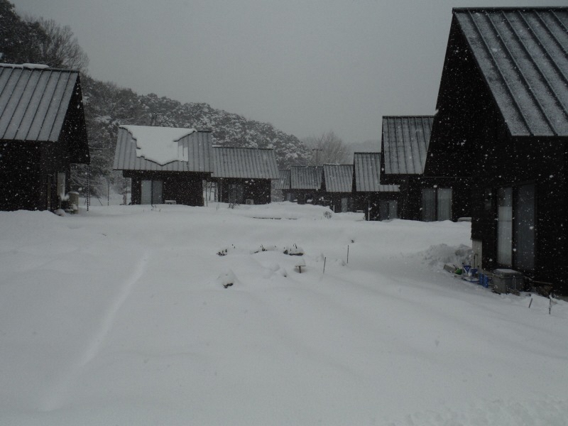 雪景色1