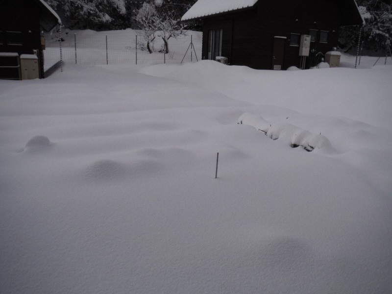 雪景色3