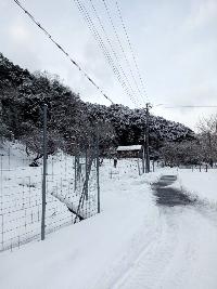 zyosetu
