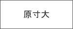 バナー原寸大の画像