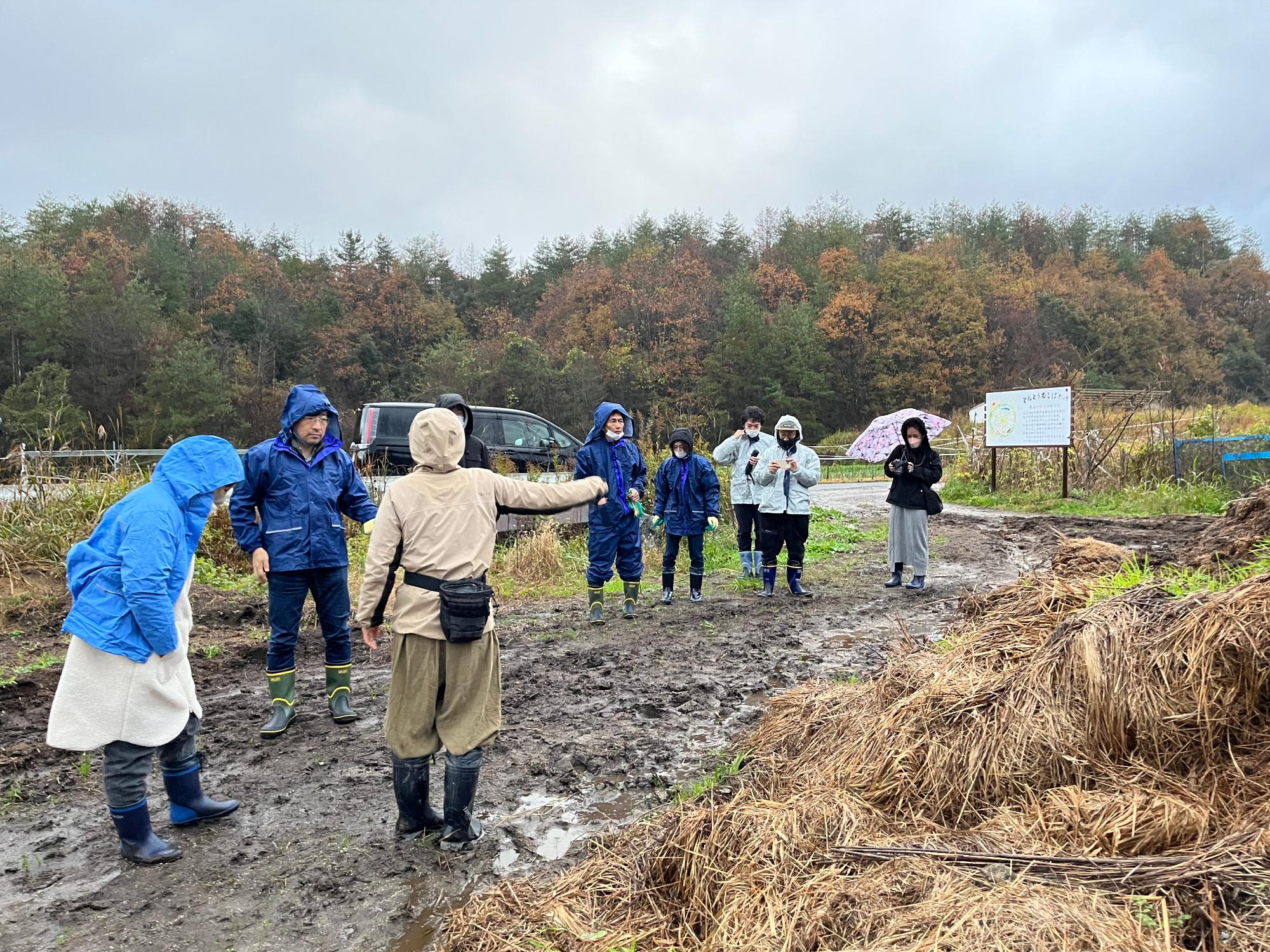 アクティブワーキングてんとう虫畑にてワーク