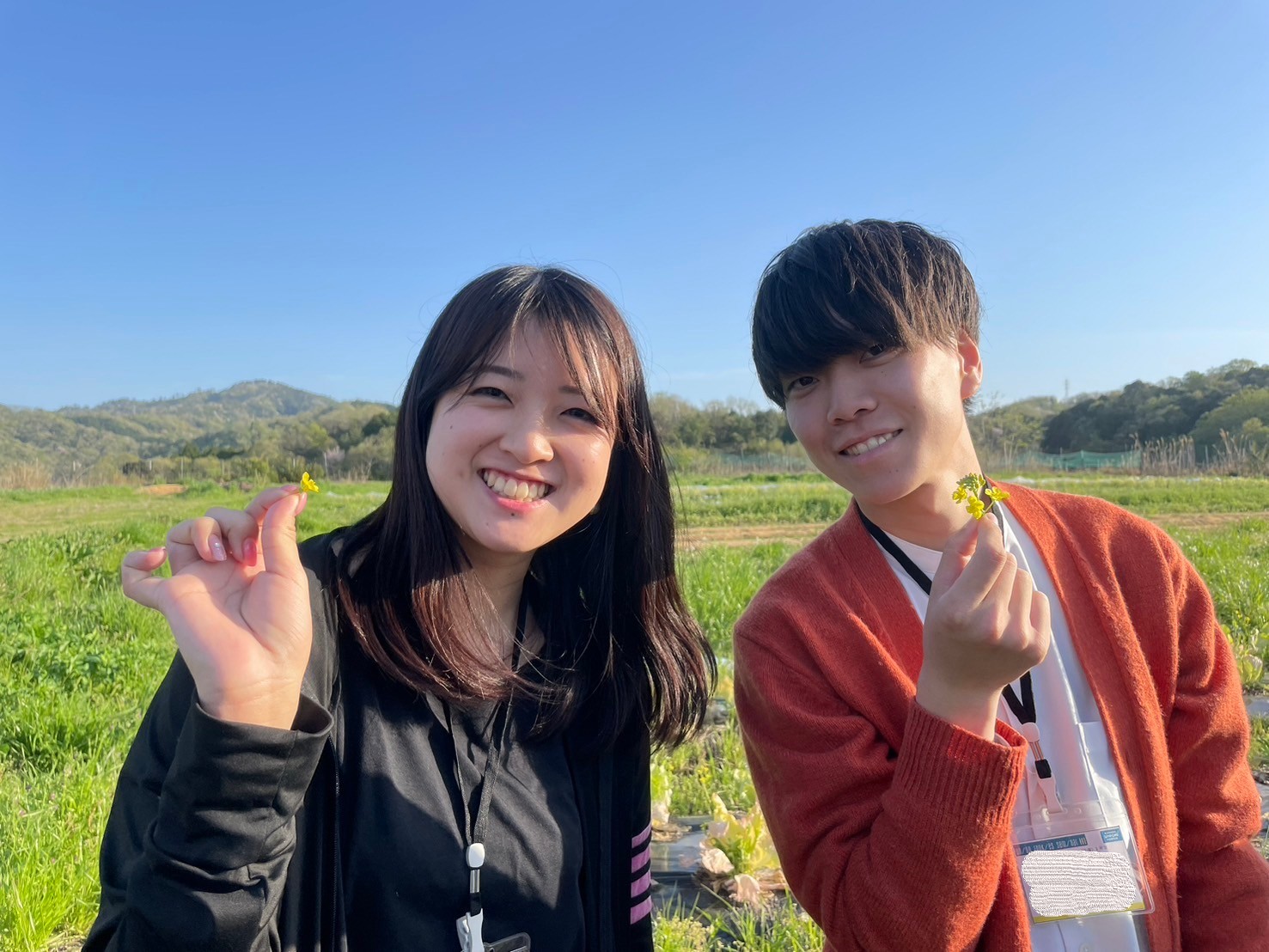 地元野菜を収穫する様子