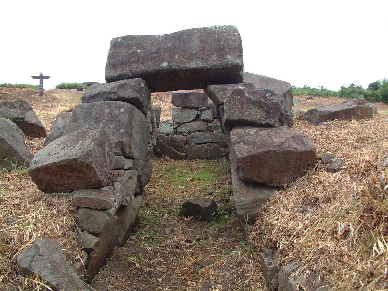 大成古墳群の写真