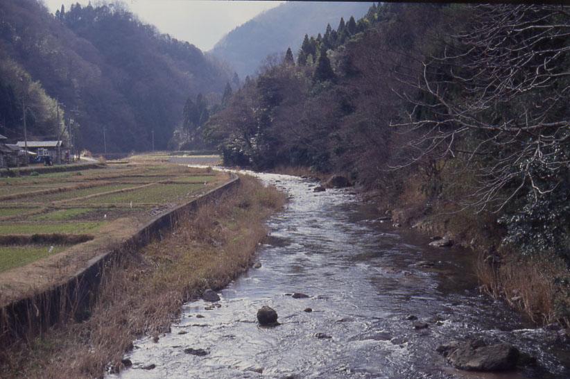 宇川流域天然鮎生息地の写真