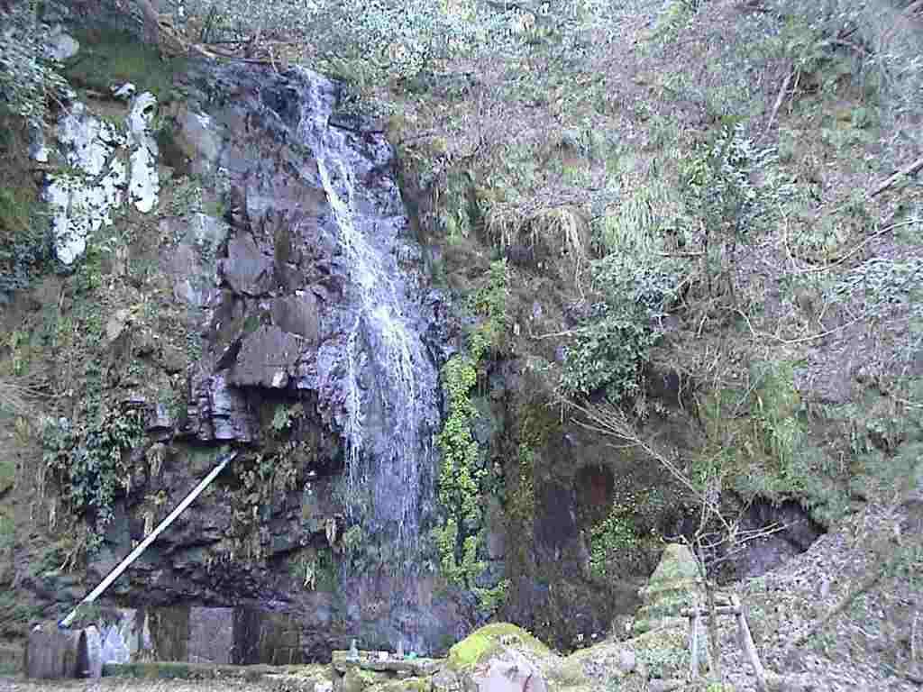 甲坂不動尊環境保全地区の写真