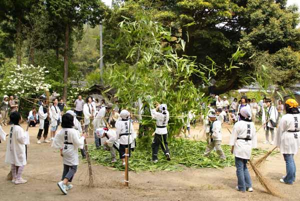 市野々のしょうぶ田植えの様子の写真