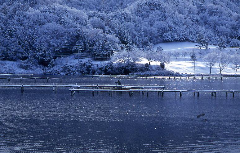 久美浜湾の牡蠣棚の写真