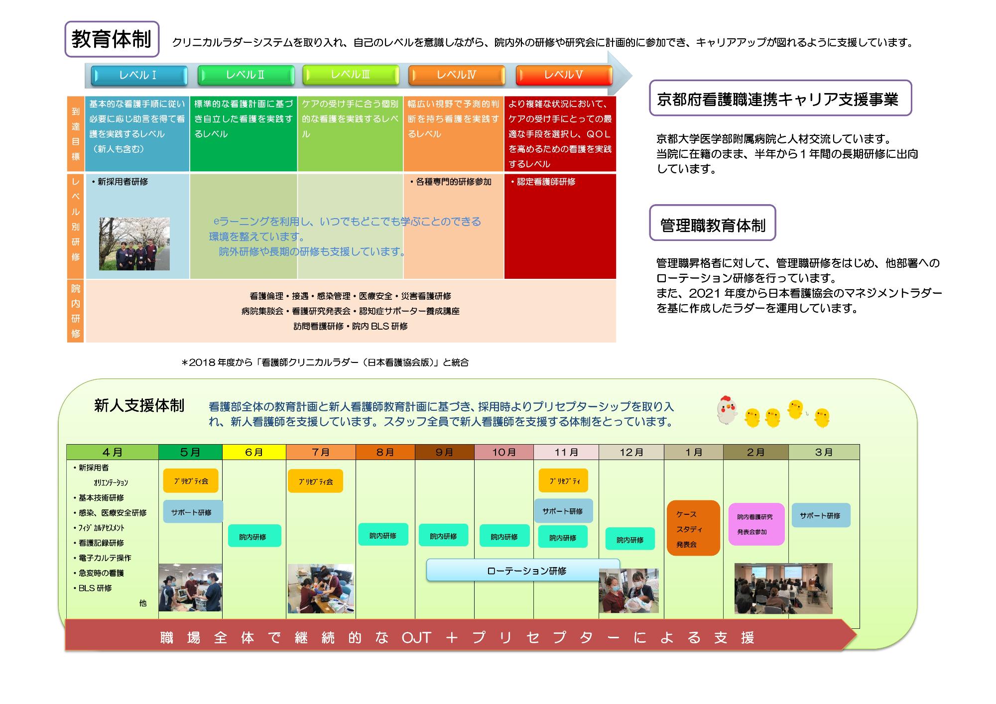 教育体制・新人支援体制スケジュール(PDF版は下記にあります)の画像
