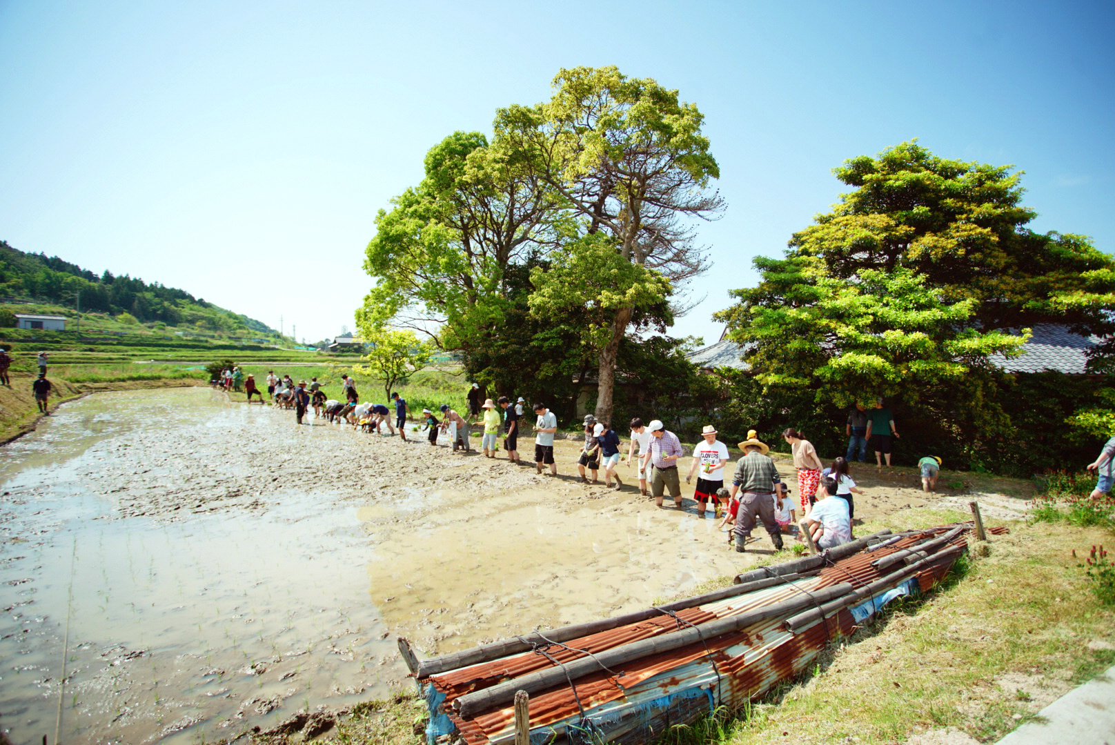 田植え風景