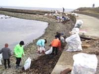 海岸清掃の実施