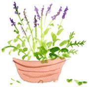 花