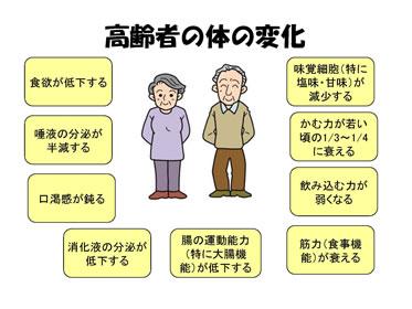 高齢者の体の変化の説明のイラスト