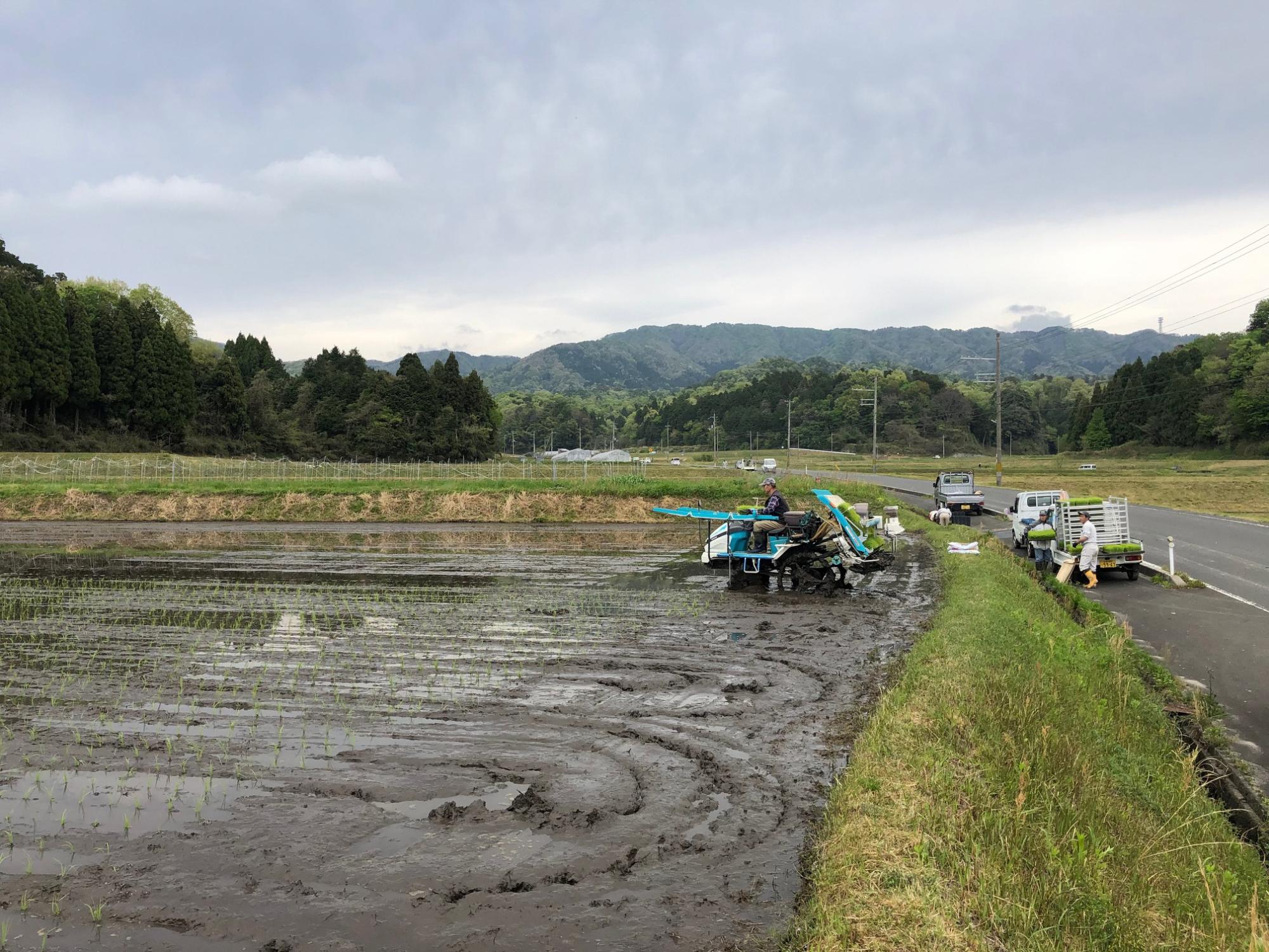 taue050302