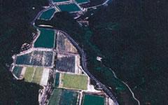 写真：郷1団地(矢立)その2