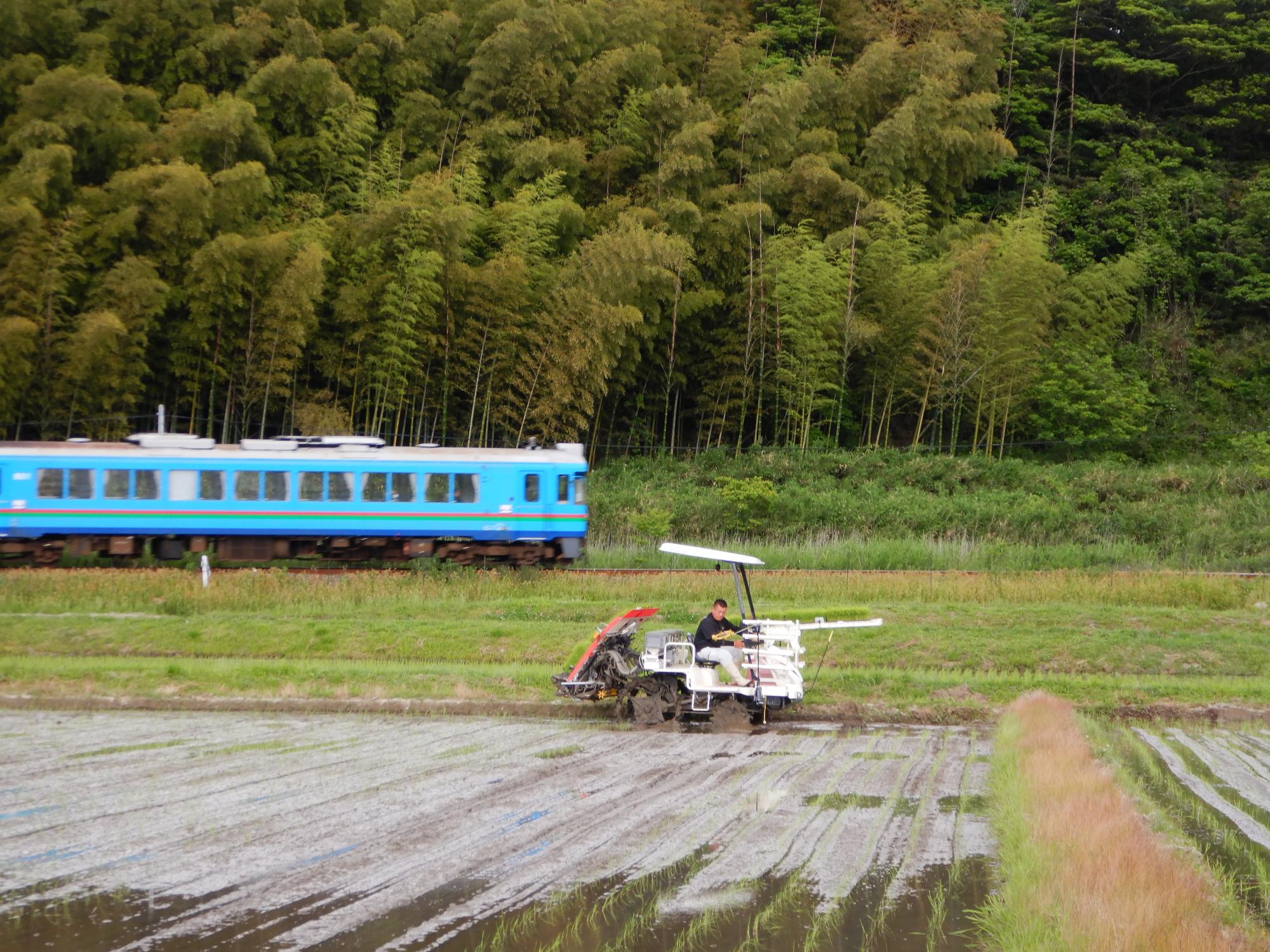 鉄道の車窓にも引野さんが手入れした田んぼが広がります