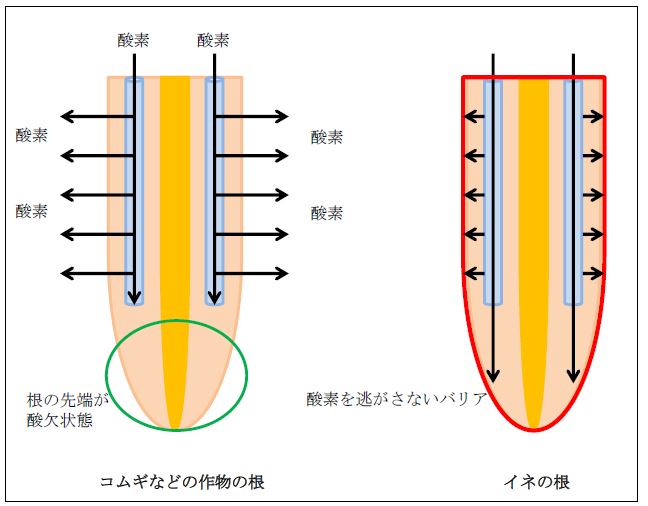 図解