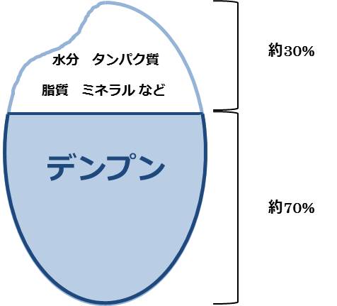 デンプン