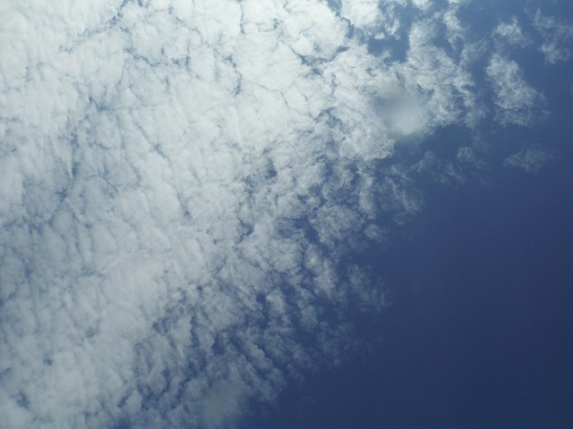 空に広がるイワシ雲