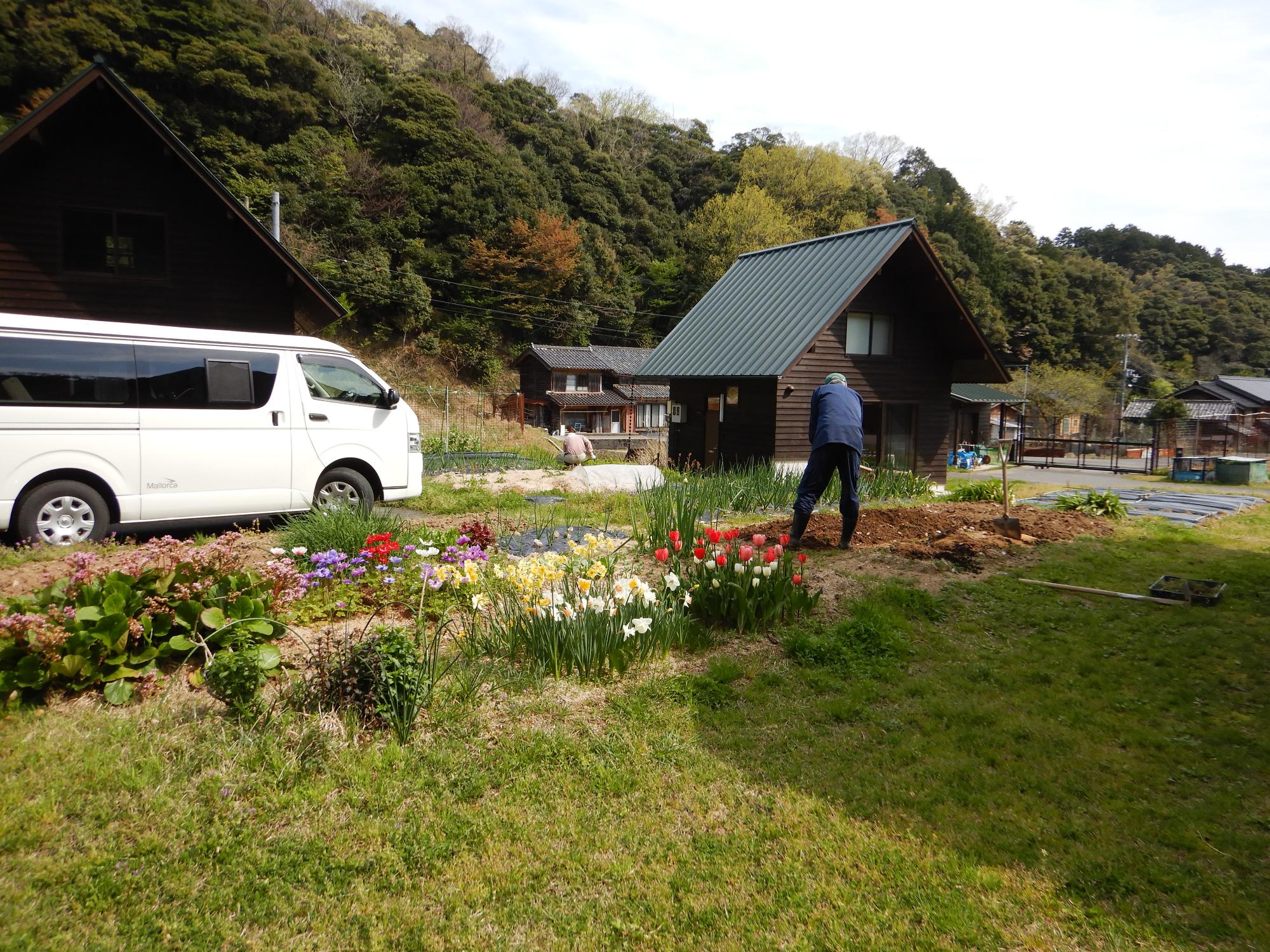 園内に咲くお花たち