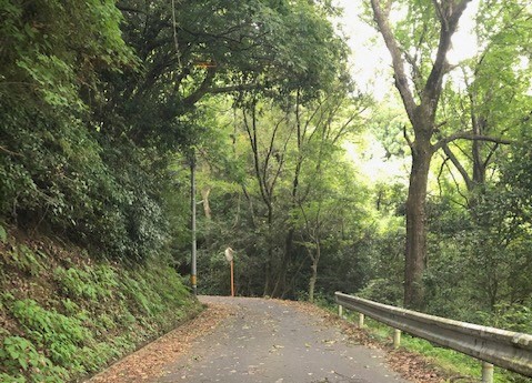 上山地区までの山道