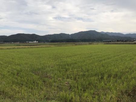 農地の風景