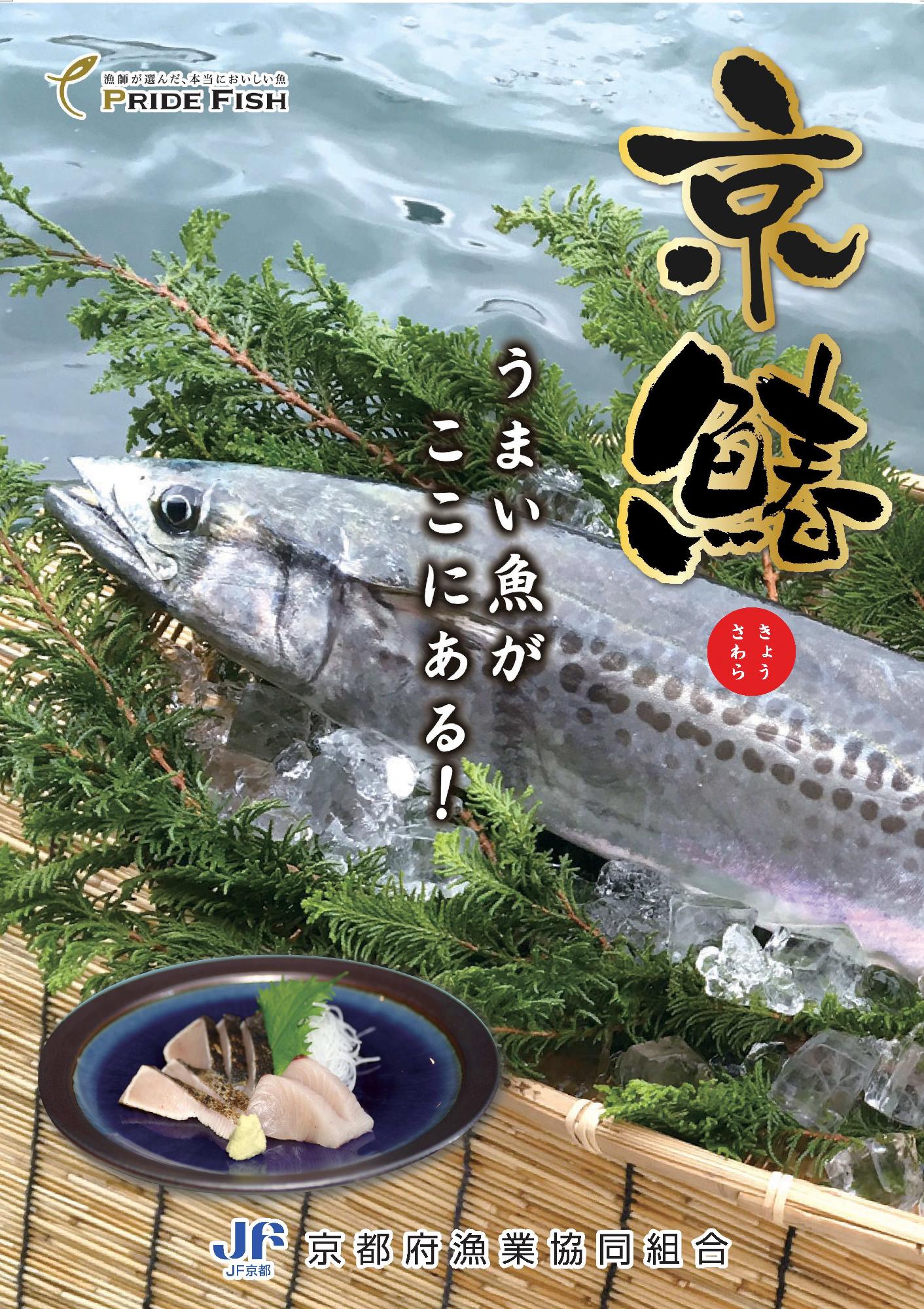 京鰆の写真3