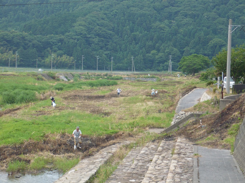 関係者による河川清掃の様子