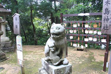 (写真)金刀比羅神社にいる狛猫2