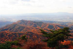 三上山からの紅葉