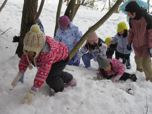 雪山をのぼる5歳児