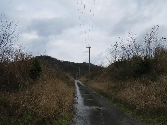 令和2年1月24日撮影網野町島津電柱巣の様子