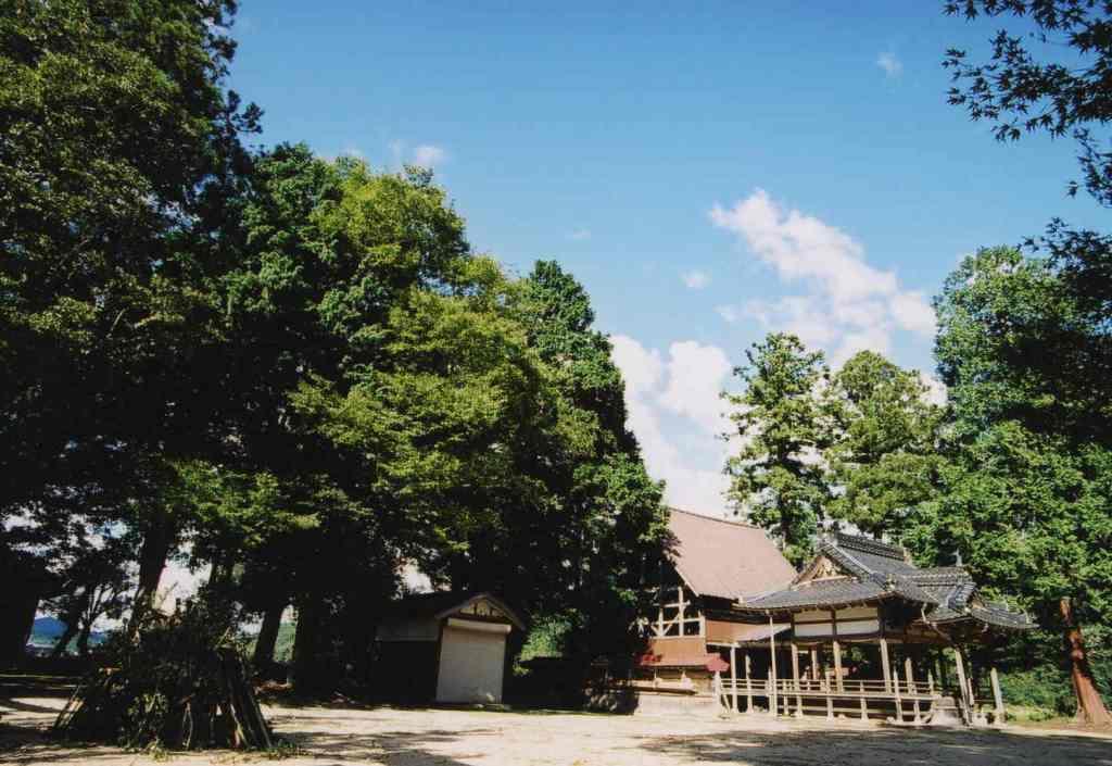 三嶋田神社環境保全地区の写真