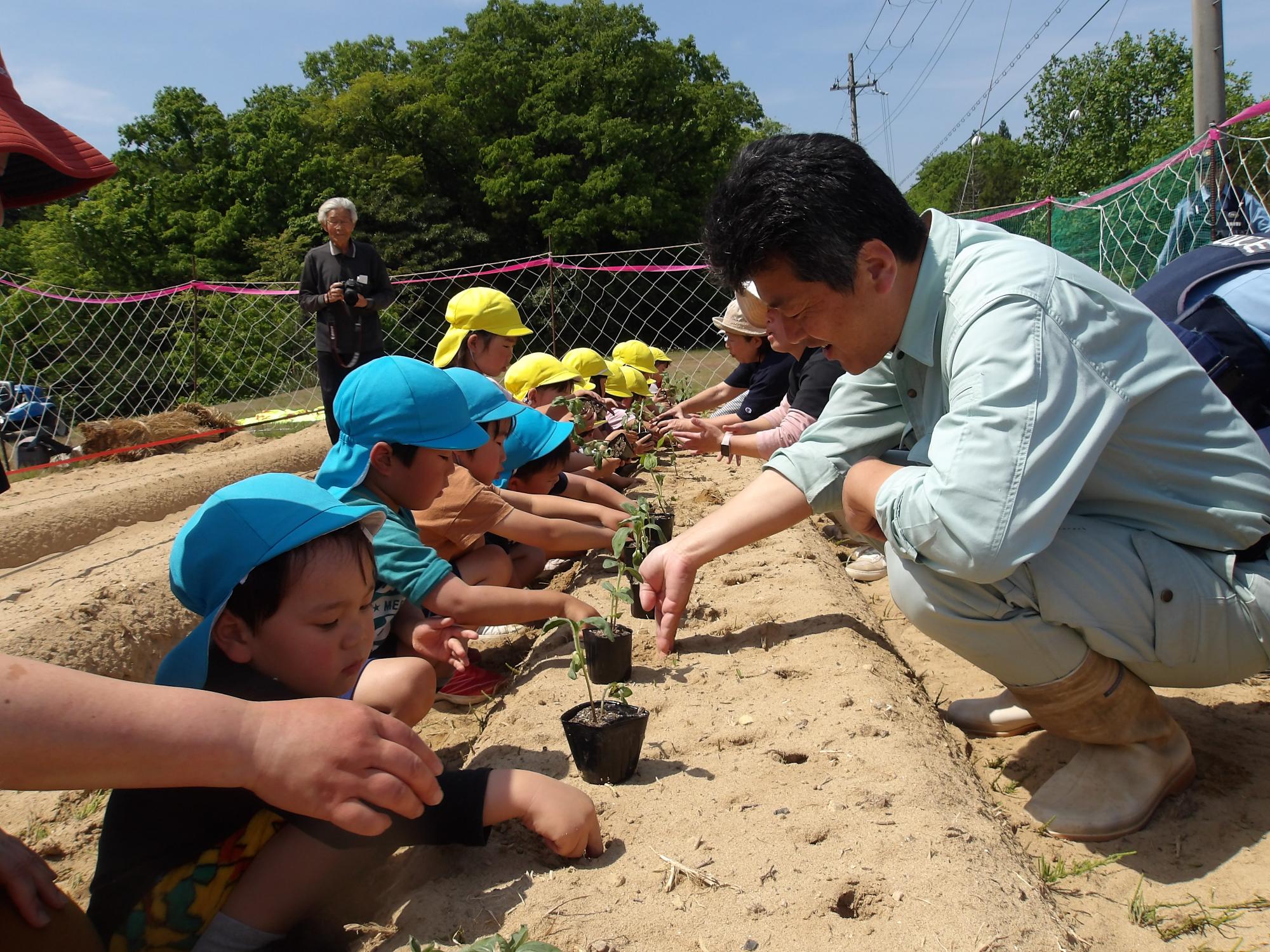 ひまわりの種のプロジェクトでひまわりの種を植えさせていただきました。
