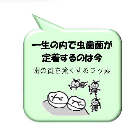 一生のうちで虫歯菌が定着するのは今