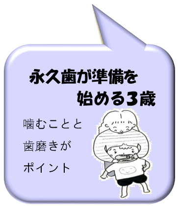 永久歯が準備を始める3歳