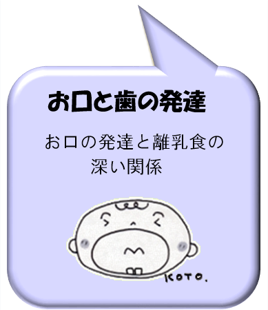 お口と歯の発達